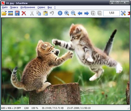 Скачать IrfanView 4.33